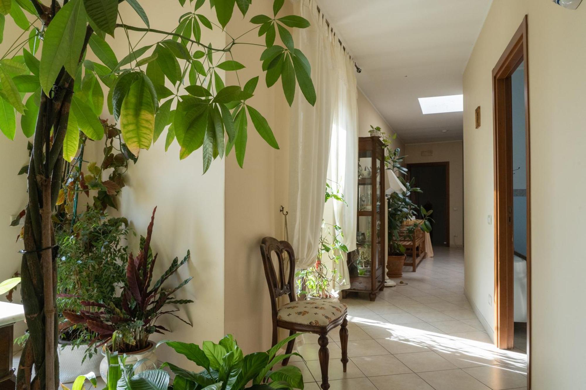 لاتيرزا B&B Iris المظهر الخارجي الصورة